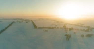 Arktik çayırlı soğuk kış manzarası, karla kaplı ağaçlar ve ufukta sabah güneşleri. Aşırı hava.