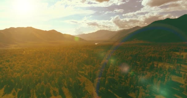 4K航空视图 在阳光明媚的夏夜 低空飞行在常绿松树上 有着无尽的山林 地平线上的太阳光 快速水平运动 野生生物 — 图库视频影像