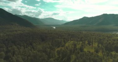 4K hava görüntüsü. Güneşli bir yaz akşamında sonsuz dağ ormanları olan sonsuz yeşil çam ağacı manzarasının üzerinde alçak uçuş. Ufuktaki güneş ışınları. Hızlı yatay hareket. Vahşi doğa.