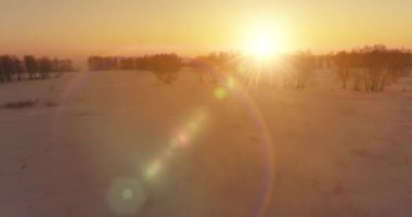 Arktik çayırlı soğuk kış manzarası, karla kaplı ağaçlar ve ufukta sabah güneşleri. Aşırı hava.