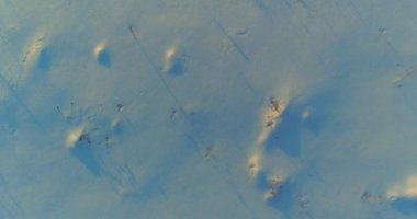 Arktik çayırlı soğuk kış manzarası, karla kaplı ağaçlar ve ufukta sabah güneşleri. Aşırı hava.