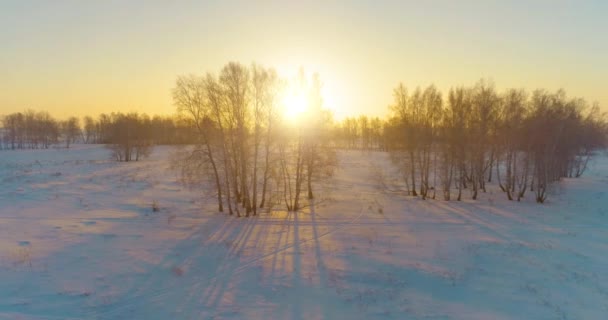 空中无人俯瞰寒冷的冬季风景 有北极的田野 被霜雪覆盖的树木和地平线上的晨光 极端天气 — 图库视频影像