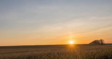 4K düz tepe çayır zamanı sonbahar gündoğumu zamanı. Vahşi doğa ve kırsal çimler. Güneş ışınları ve sarı çimenler. Motorlu doli kaydırma ve panorama hareketi