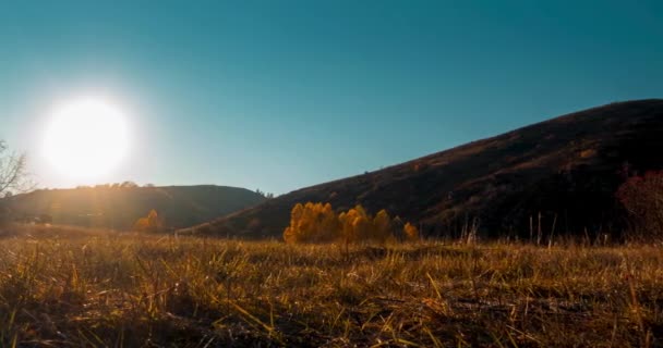 Mountain Meadow Time Lapse Summer Autumn Sunset Time Wild Nature — Stock Video