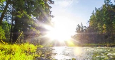4K dağ nehri zaman dilimi yaz ya da sonbahar zamanı. Vahşi doğa, berrak su ve her zaman yeşil olan kırsal vadi. Güneş ışınları, küçük dere ve sarı otlar. Motorlu doli kaydırma hareketi