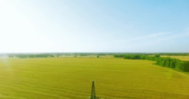 UHD 4K hava görüntüsü. Yüksek voltajlı elektrik kulesi yakınında dikey hareket uçuşu ve güneşli yaz gününde yeşil ve sarı buğday kırsalında elektrik hatları. Ufuktaki güneş ışınları.