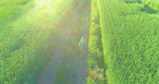 Luftaufnahme Eines Kleinen Jungen Der Mit Dem Fahrrad Durch Ein — Stockvideo