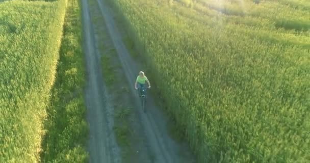 少年は 古い農村部の道路上のコムギの芝生のフィールドを介して自転車に乗るの空中ビュー 暖かい日差しと梁と夏の時間の牧草地 健康的な子供時代のコンセプト — ストック動画