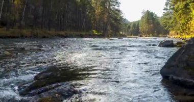 4K UHD dağ nehri zaman dilimi yaz ya da sonbahar saatlerinde. Vahşi doğa, berrak su ve her zaman yeşil olan kırsal vadi. Güneş ışınları, küçük dere ve sarı otlar. Motorlu doli kaydırma hareketi