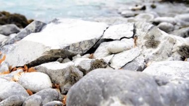 Dağ nehrinde kayalar ve sarı yapraklarla su sıçratan motorlu bebek kaydırağının görüntüsü. Bulutlu sonbahar havasında yatay sabit hareket.