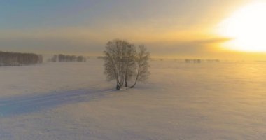 Soğuk kış kutup bölgesinin insansız hava görüntüsü, ufukta karla kaplı ağaçlar, buz nehri ve güneş ışınları. Aşırı düşük sıcaklık havası.
