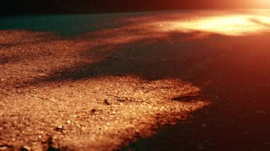 Yeni asfalt yolda koşan FHD sporcusu. Şehir parkında gün doğumu ya da gün batımı. Yeşil ağaç ormanı ve ufukta güneş ışığı.