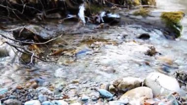 Ormanın yakınındaki küçük bir dağ nehrinde akan suyun motorlu bebek kaydırağıyla çekilmiş görüntüsü. Kocaman ıslak kayalar ve güneş ışınları. Kırsal bölgede yatay sabit hareket.