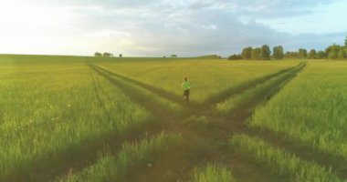 Sportif bir çocuğun havadan çekimleri buğday tarlasından geçiyor. Kırsal çayırlarda akşam sporu alıştırmaları. Mutlu bir çocukluk sağlıklı bir yaşam biçimidir. Açık havada koşma transferi. Radikal hareket, güneş