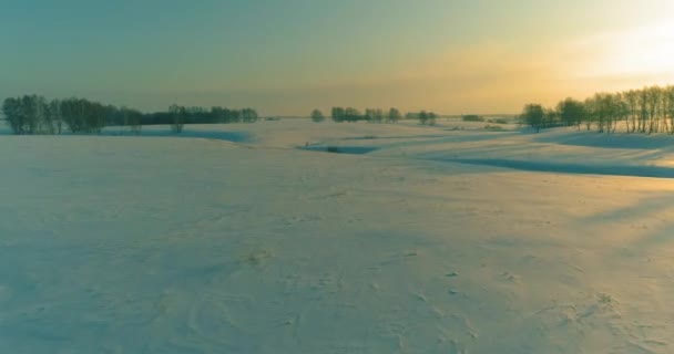 Letecký Pohled Studenou Zimní Krajinu Arktického Pole Stromy Pokryté Mrazivým — Stock video