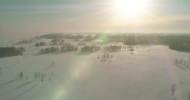Drone Εναέρια Άποψη Του Κρύου Χειμερινού Τοπίου Αρκτικό Πεδίο Δέντρα — Αρχείο Βίντεο