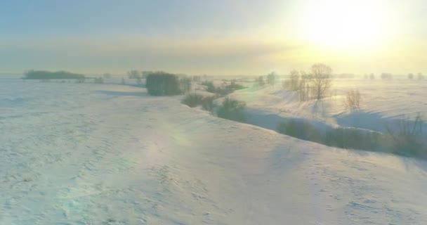 Pandangan Udara Drone Lapangan Kutub Musim Dingin Pohon Ditutupi Salju — Stok Video