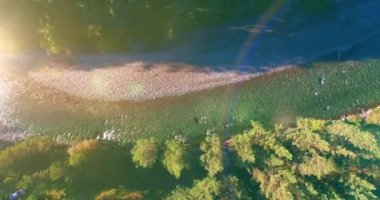 4K hava bakış açısı. Güneşli yaz sabahında, taze, hızlı dağ nehri üzerinde kayalıklarla alçak irtifa uçuşu. Yeşil çam ağaçları ve güneş ışınları. Saf soğuk su akıntısı.