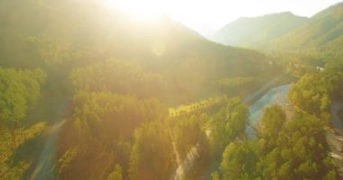 4K hava bakış açısı. Güneşli yaz sabahında, taze, hızlı dağ nehri üzerinde kayalıklarla alçak irtifa uçuşu. Yeşil çam ağaçları ve güneş ışınları. Saf soğuk su akıntısı.
