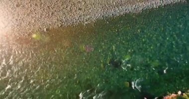 4K hava bakış açısı. Güneşli yaz sabahında, taze, hızlı dağ nehri üzerinde kayalıklarla alçak irtifa uçuşu. Yeşil çam ağaçları ve güneş ışınları. Saf soğuk su akıntısı.