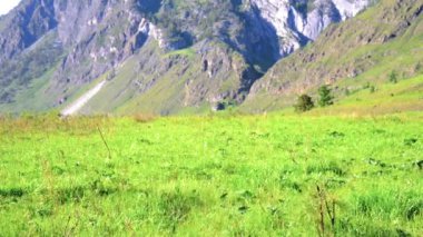 Sırt çantası ile yeşil dağ çayır üzerinde yürüyen adam Fhd Hiking. Güneşli havada seyahat turizm. Yaz spor ve eğlence kavramı.