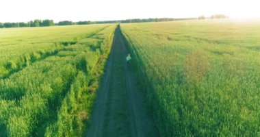 Kırsal yoldaki bir çim tarlasında bisiklet süren genç bir çocuğun hava manzarası. Sıcak güneş ışığı ve ışınlar ile yaz zamanı çayırı. Sağlıklı çocukluk kavramı.