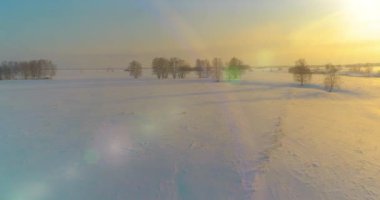 Soğuk kış kutup bölgesinin insansız hava görüntüsü, ufukta karla kaplı ağaçlar, buz nehri ve güneş ışınları. Aşırı düşük sıcaklık havası. Sibirya