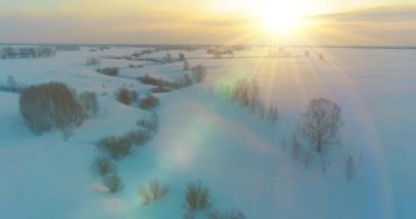 Soğuk kış kutup bölgesinin insansız hava görüntüsü, ufukta karla kaplı ağaçlar, buz nehri ve güneş ışınları. Aşırı düşük sıcaklık havası. Sibirya