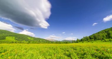 Yaz ya da sonbahar mevsiminde dağdaki çayır zaman atlaması. Vahşi doğa ve kırsal alan. Bulutların hareketi, yeşil çimenler ve güneş ışınları. Motorlu Panorama