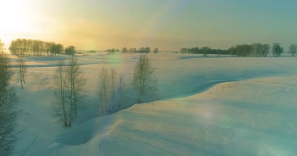 Drone Aerial View Cold Winter Landscape Arctic Field Trees Covered — Stock Video