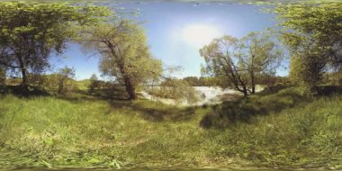 4K 360 VR Bir nehrin Sanal Gerçekliği Altay Rusya dağları ormanları ve çayırlarındaki bu güzel manzarada kayaların üzerinden akıyor