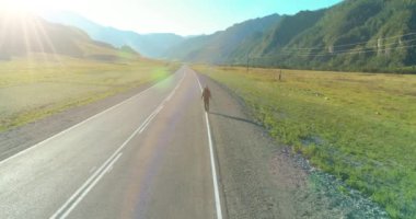 Hava 4K UHD görüntüsü. Asfalt yolda yürüyen otostopçu turist üzerinde alçak irtifa uçuşu. Büyük bir kırsal vadi ve yaz günü güneşli bir çayır. Sırt çantalı gezgin..
