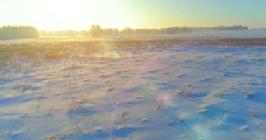 Arktik çayırlı soğuk kış manzarası, karla kaplı ağaçlar ve ufukta sabah güneşleri. Aşırı hava.