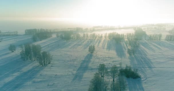 Aerial Drone View Cold Winter Landscape Arctic Field Trees Covered — Stock Video