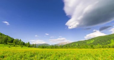 Yaz ya da sonbahar mevsiminde dağdaki çayır zaman atlaması. Vahşi doğa ve kırsal alan. Bulutların hareketi, yeşil çimenler ve güneş ışınları. Motorlu Panorama