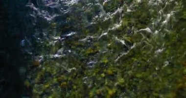 4K hava bakış açısı. Güneşli yaz sabahında, taze, hızlı dağ nehri üzerinde kayalıklarla alçak irtifa uçuşu. Yeşil çam ağaçları ve güneş ışınları. Saf soğuk su akıntısı.