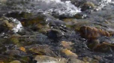 Ormanın yakınındaki küçük bir dağ nehrinde akan suyun motorlu bebek kaydırağıyla çekilmiş görüntüsü. Kocaman ıslak kayalar ve güneş ışınları. Kırsal bölgede yatay sabit hareket. Çiğ düz renkler.