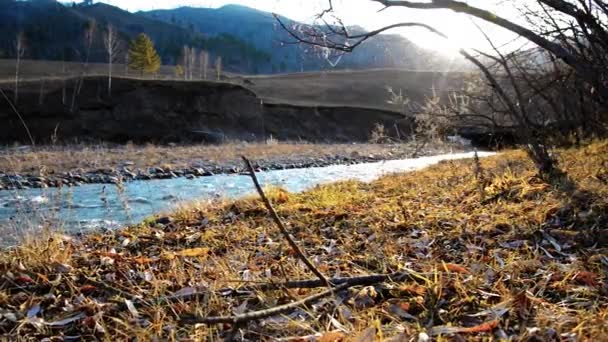 在森林附近的一条小山河里 机动娃娃滑翔机拍下了飞溅的水花 巨大的潮湿的岩石和阳光 农村地区的横向稳定运动 — 图库视频影像