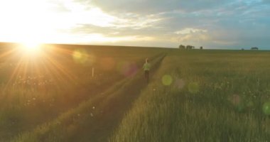 Sportif bir çocuğun havadan çekimi yaz yağmurunda bir buğday tarlasından geçer. Kırsal çayırlarda akşam sporu alıştırmaları. Mutlu bir çocukluk sağlıklı bir yaşam biçimidir. Açık havada koşma transferi. Radikal