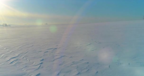 Drone Antenn Utsikt Över Kallt Vinterlandskap Arktiskt Fält Träd Täckta — Stockvideo