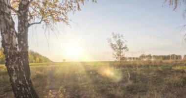 4K UHD düz çayır zamanı yaz veya sonbahar günbatımında. Vahşi Rus doğası ve kırsal alan. Güneş ışınları, ağaçlar, yeşil çimen hareketleri. Motorlu doli kaydırıcı