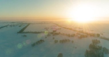 Arktik çayırlı soğuk kış manzarası, karla kaplı ağaçlar ve ufukta sabah güneşleri. Aşırı hava.