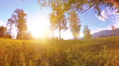 4K UHD dağ manzarasındaki kırsal çayır yeşil çimenler, ağaçlar ve güneş ışınlarıyla. Sonbahar ya da yaz havası. Motorlu kaydırma kulesinde çapraz hareket.
