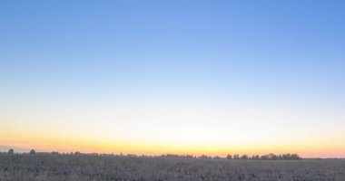 4K UHD düz tepe çayırlık zaman dilimi yaz gündoğumu zamanı. Vahşi doğa ve kırsal çimler. Güneş ışınları ve yeşil ağaçlar. Motorlu doli kaydırma ve panorama hareketi