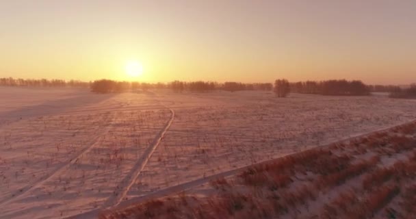Vista Aérea Drones Del Frío Paisaje Invernal Con Campo Ártico — Vídeos de Stock