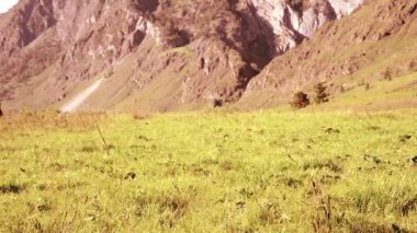 Sırt çantası ile yeşil dağ çayır üzerinde yürüyen adam Fhd Hiking. Güneşli havada seyahat turizm. Yaz spor ve eğlence kavramı.