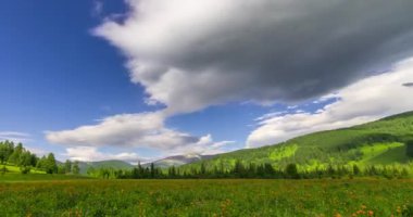 Yaz ya da sonbahar mevsiminde dağdaki çayır zaman atlaması. Vahşi doğa ve kırsal alan. Bulutların hareketi, yeşil çimenler ve güneş ışınları. Motorlu Panorama