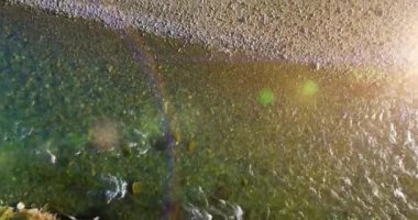 4K hava bakış açısı. Güneşli yaz sabahında, taze, hızlı dağ nehri üzerinde kayalıklarla alçak irtifa uçuşu. Yeşil çam ağaçları ve güneş ışınları. Saf soğuk su akıntısı.