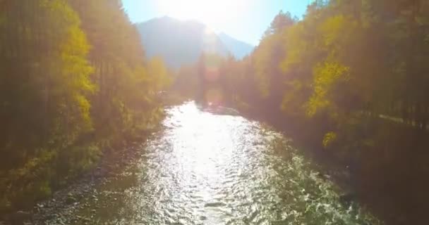 Sudut Pandang Udara Penerbangan Ketinggian Rendah Atas Sungai Pegunungan Cepat — Stok Video