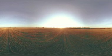 360 hava manzaralı. Güneşli bir sonbahar akşamında sonsuz yeşil tarlaları olan yaz manzarasının üzerinde alçak uçuş. Ufuktaki güneş ışınları. Hızlı yatay hareket. Tarım arazisi insansız hava aracı atışı. Dengeli